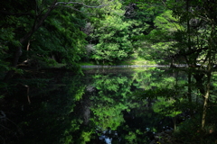 Ｏａｓｉｓ