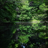 Ｏａｓｉｓ