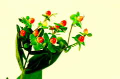 おじさんを惹きつけた貴女　１