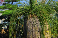 おい！　そこの　”ボーイ”　前髪何とかならんのか！