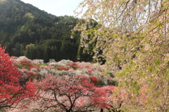 満たされて