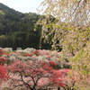 満たされて