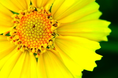 神（？）の設計図