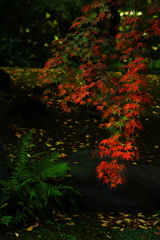 シックなテイスト