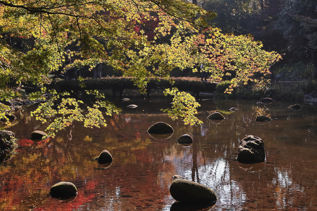 「絶妙な」石の配置