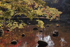 「絶妙な」石の配置