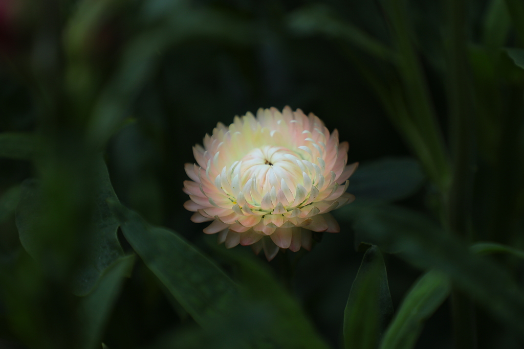 開かれし季（とき）