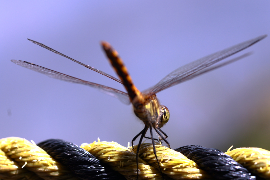 言っときますが、後ろも見えてます！