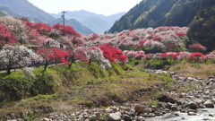 桃源郷へ