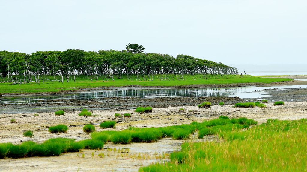 大地の鼓動