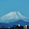 久し振りの富士は雪化粧