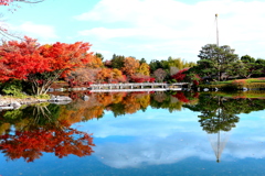 庭園風景　　雪吊りと紅葉