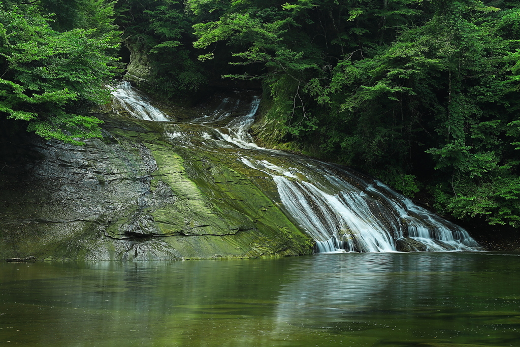 養老の滝　居酒屋ではございません