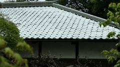 雪化粧
