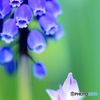 ｋｉｓｓ　ｍｅ　・　・　・　！