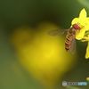 食事中