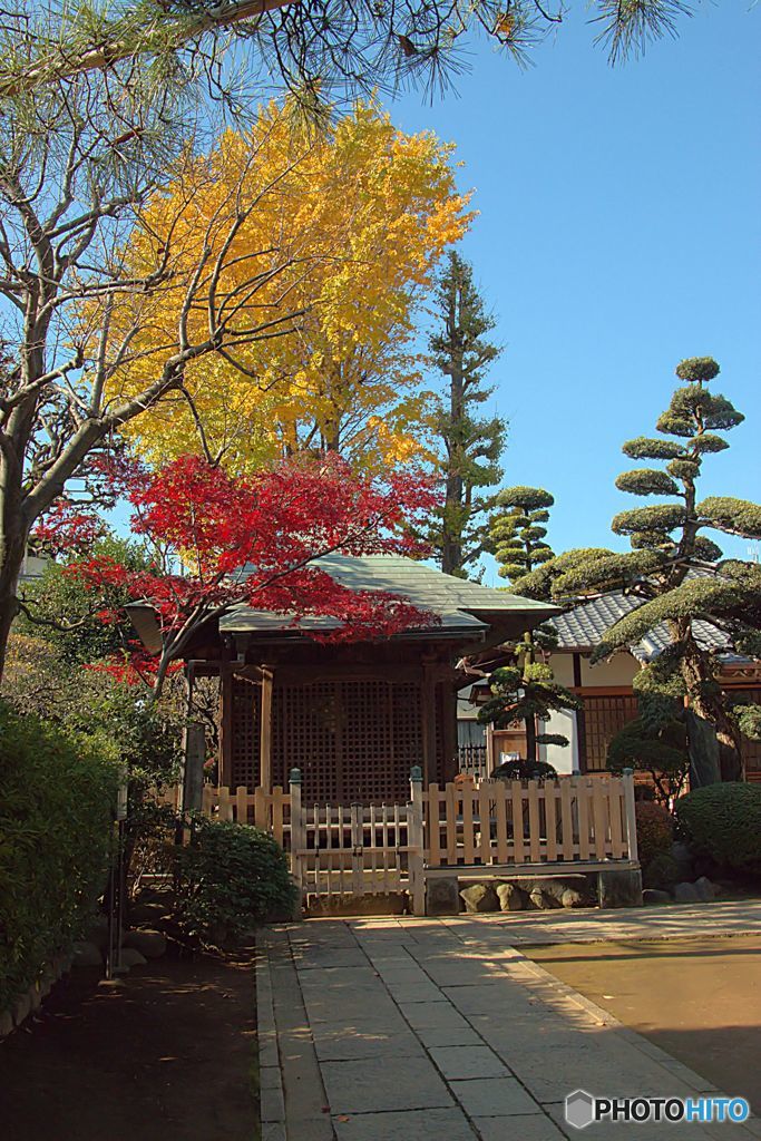 お寺の秋景