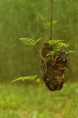 マンションのベランダに吊るしてもなぁ～