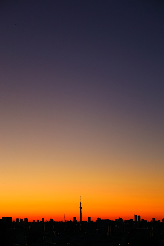 ６３４ｍ　　武蔵の国