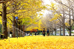 イエローカーペット