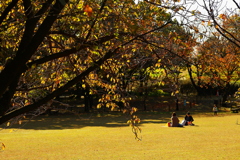 真実は如何に・・・　小春日和