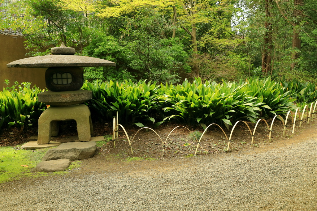 心躍る春の散策路