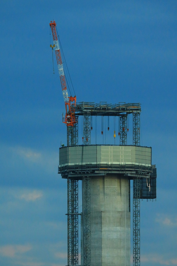 頭頂部が・・・