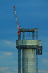 頭頂部が・・・