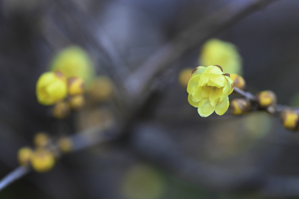 直ぐそこにある