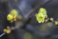 直ぐそこにある