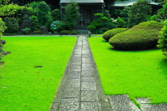 芝生のお寺