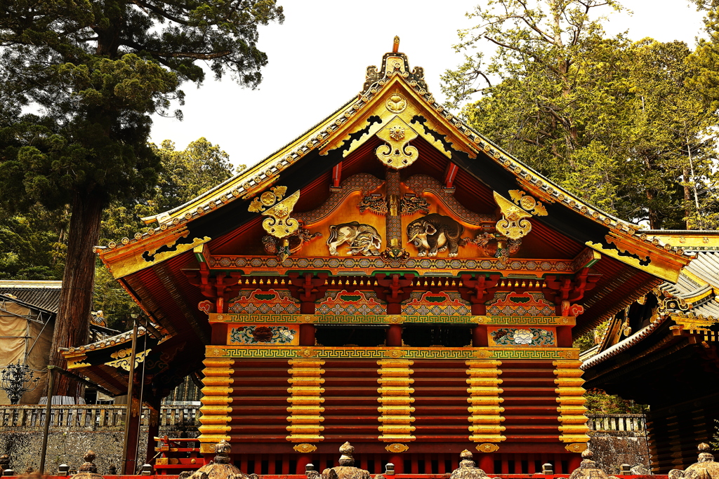 想　像　の　「　象　」