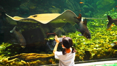 デジタルな夏休み