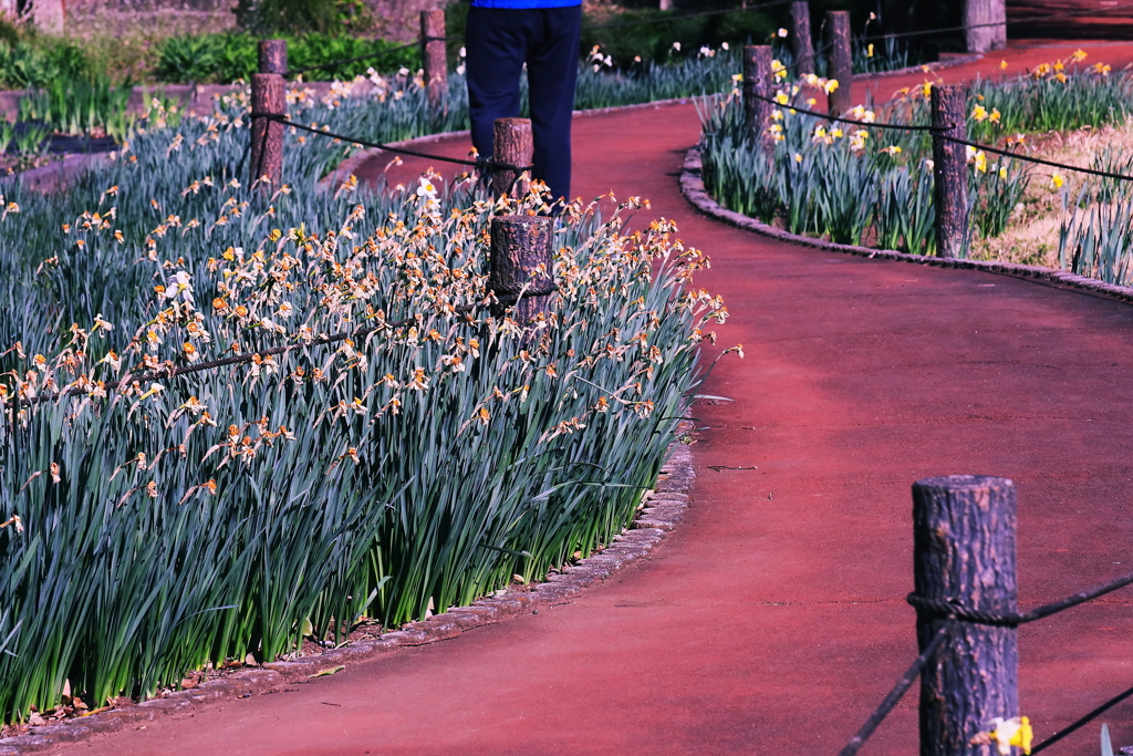 あ～ぁっ！　終わってました。