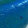 清(青)流に釣る