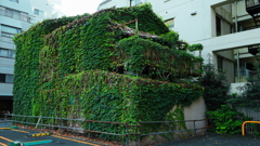 からまる・・・。