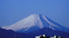寝坊すると富士山は青かった