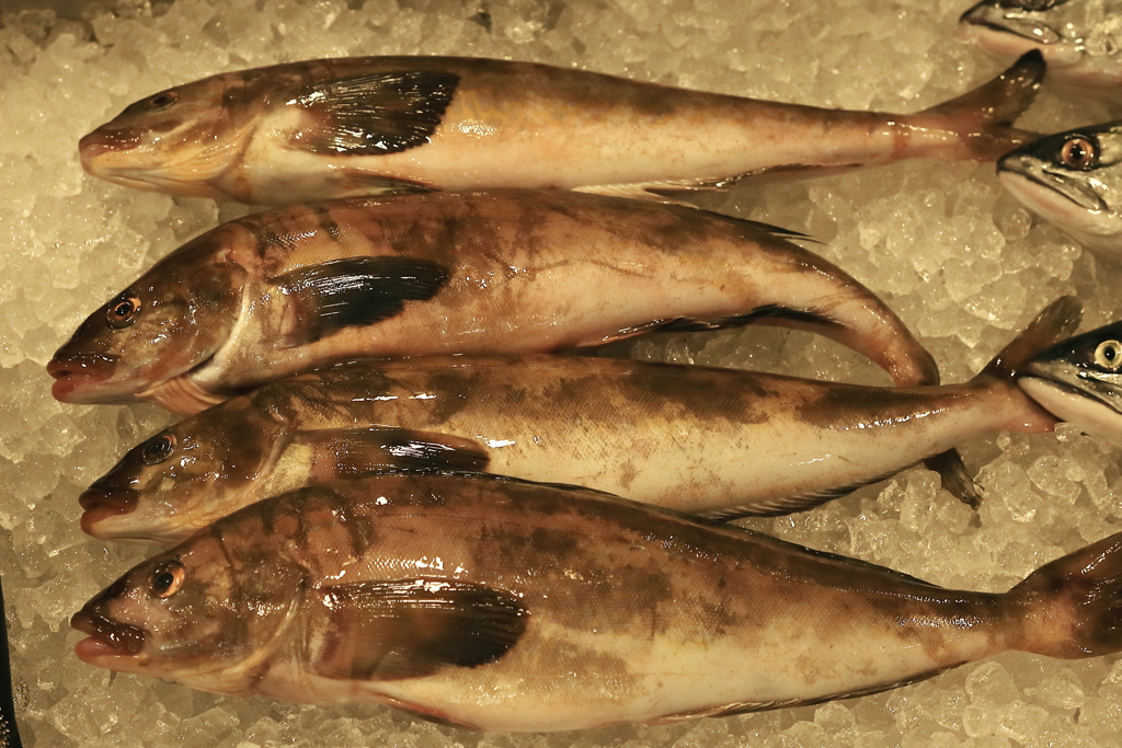 恥ずかしながら貴方の本当の姿を初めて知りました。