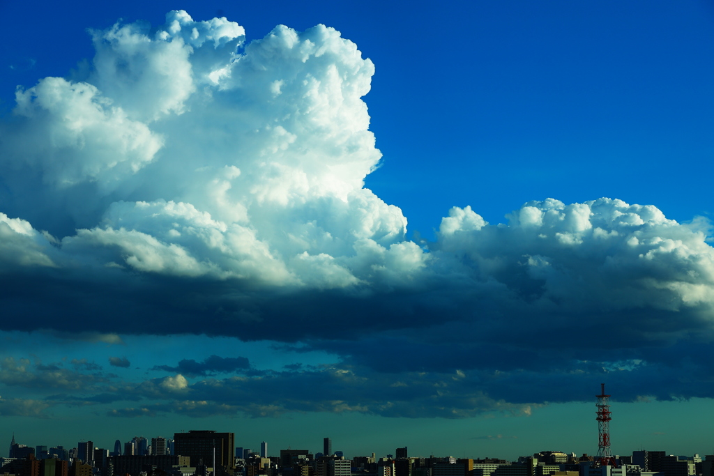 観天望気　　雨のち夏の兆し