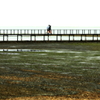 海上遊歩道