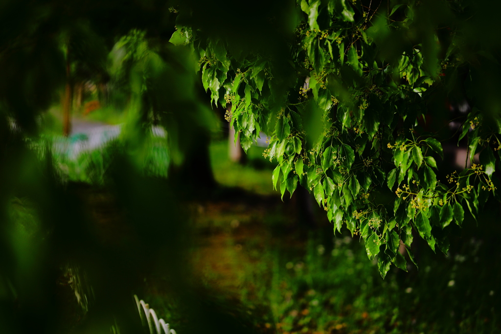 刻(とき)の濃度