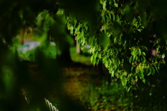 刻(とき)の濃度