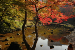 朱に染まる大堰川