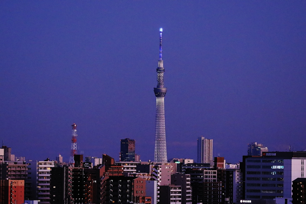 Ｔｗｉｌｉｇｈｔ　　新春の尖塔