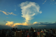 上昇気流に乗って