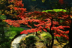 錦秋への入り口