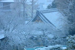 東京都北区　大雪警報発令