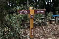 ご立派！　　な標識