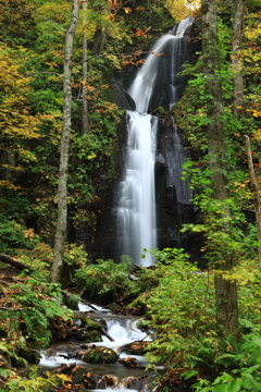 奥入瀬　滝二題　雲井の滝