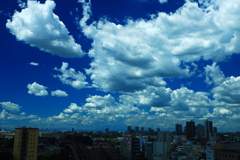 静（Static）　と　動（Dynamic）